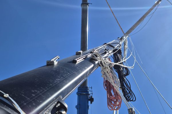 WhatsApp Image 2026-01-28 at 14.13.35